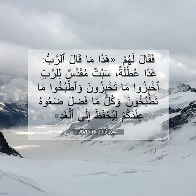 Picture 07 - اَلْخُرُوجُ 16:23 AVD - فَقَالَ لَهُمْ: «هَذَا مَا - Bible Verse Picture