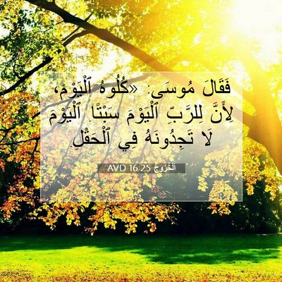 Picture 07 - اَلْخُرُوجُ 16:25 AVD - فَقَالَ مُوسَى: «كُلُوهُ - Bible Verse Picture