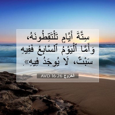Picture 07 - اَلْخُرُوجُ 16:26 AVD - سِتَّةَ أَيَّامٍ - Bible Verse Picture