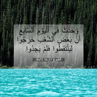 Picture 07 - اَلْخُرُوجُ 16:27 AVD - وَحَدَثَ فِي ٱلْيَوْمِ - Bible Verse Picture