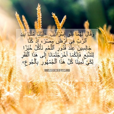 Picture 07 - اَلْخُرُوجُ 16:3 AVD - وَقَالَ لَهُمَا بَنُو - Bible Verse Picture