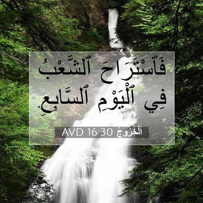 Picture 07 - اَلْخُرُوجُ 16:30 AVD - فَٱسْتَرَاحَ ٱلشَّعْبُ - Bible Verse Picture