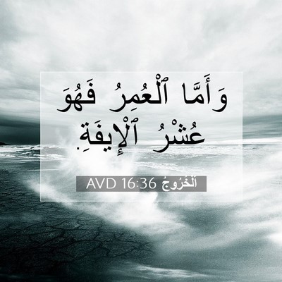 Picture 07 - اَلْخُرُوجُ 16:36 AVD - وَأَمَّا ٱلْعُمِرُ فَهُوَ - Bible Verse Picture