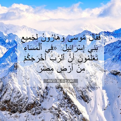 Picture 07 - اَلْخُرُوجُ 16:6 AVD - فَقَالَ مُوسَى وَهَارُونُ - Bible Verse Picture