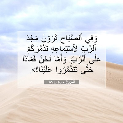 Picture 07 - اَلْخُرُوجُ 16:7 AVD - وَفِي ٱلصَّبَاحِ تَرَوْنَ - Bible Verse Picture
