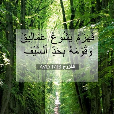 Picture 07 - اَلْخُرُوجُ 17:13 AVD - فَهَزَمَ يَشُوعُ - Bible Verse Picture