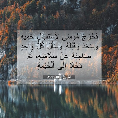 Picture 07 - اَلْخُرُوجُ 18:7 AVD - فَخَرَجَ مُوسَى - Bible Verse Picture