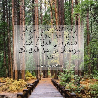 Picture 07 - اَلْخُرُوجُ 19:12 AVD - وَتُقِيمُ لِلشَّعْبِ - Bible Verse Picture