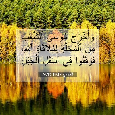 Picture 07 - اَلْخُرُوجُ 19:17 AVD - وَأَخْرَجَ مُوسَى - Bible Verse Picture