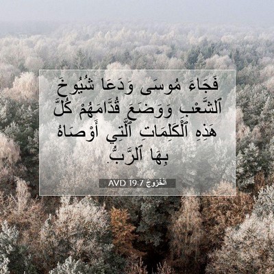 Picture 07 - اَلْخُرُوجُ 19:7 AVD - فَجَاءَ مُوسَى وَدَعَا - Bible Verse Picture