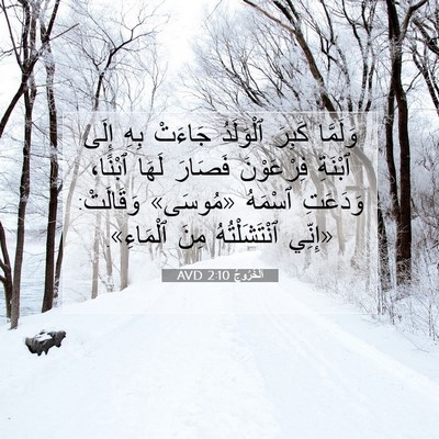 Picture 07 - اَلْخُرُوجُ 2:10 AVD - وَلَمَّا كَبِرَ ٱلْوَلَدُ - Bible Verse Picture