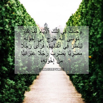 Picture 07 - اَلْخُرُوجُ 2:11 AVD - وَحَدَثَ فِي تِلْكَ - Bible Verse Picture
