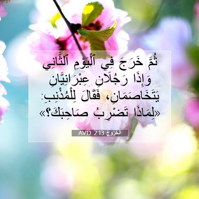 Picture 07 - اَلْخُرُوجُ 2:13 AVD - ثُمَّ خَرَجَ فِي ٱلْيَوْمِ - Bible Verse Picture