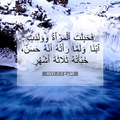 Picture 07 - اَلْخُرُوجُ 2:2 AVD - فَحَبِلَتِ ٱلْمَرْأَةُ - Bible Verse Picture