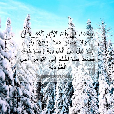 Picture 07 - اَلْخُرُوجُ 2:23 AVD - وَحَدَثَ فِي تِلْكَ - Bible Verse Picture
