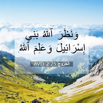 Picture 07 - اَلْخُرُوجُ 2:25 AVD - وَنَظَرَ ٱللهُ بَنِي - Bible Verse Picture