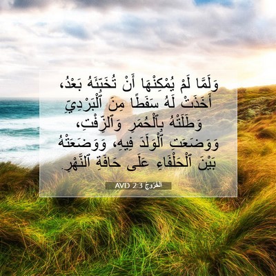 Picture 07 - اَلْخُرُوجُ 2:3 AVD - وَلَمَّا لَمْ يُمْكِنْهَا - Bible Verse Picture