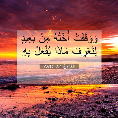 Picture 07 - اَلْخُرُوجُ 2:4 AVD - وَوَقَفَتْ أُخْتُهُ مِنْ - Bible Verse Picture
