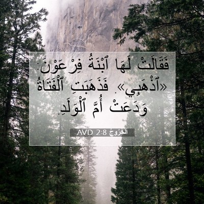 Picture 07 - اَلْخُرُوجُ 2:8 AVD - فَقَالَتْ لَهَا ٱبْنَةُ - Bible Verse Picture