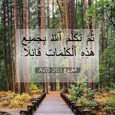 Picture 07 - اَلْخُرُوجُ 20:1 AVD - ثُمَّ تَكَلَّمَ ٱللهُ - Bible Verse Picture
