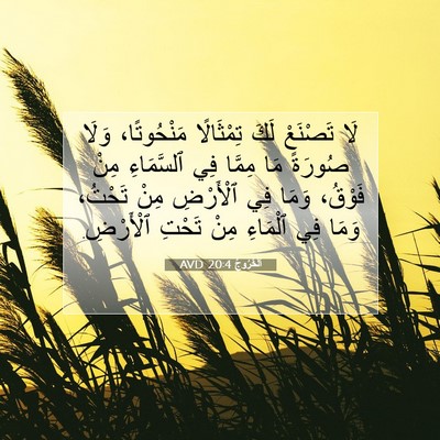Picture 07 - اَلْخُرُوجُ 20:4 AVD - لَا تَصْنَعْ لَكَ - Bible Verse Picture