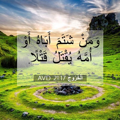 Picture 07 - اَلْخُرُوجُ 21:17 AVD - وَمَنْ شَتَمَ أَبَاهُ أَوْ - Bible Verse Picture