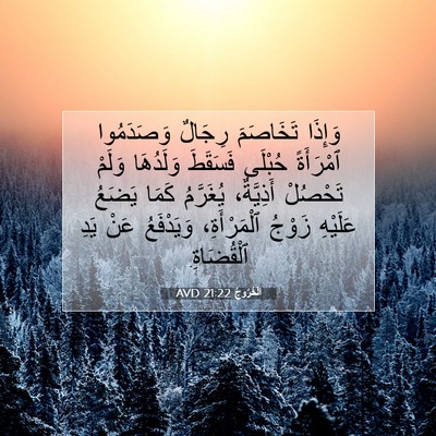 Picture 07 - اَلْخُرُوجُ 21:22 AVD - وَإِذَا تَخَاصَمَ رِجَالٌ - Bible Verse Picture