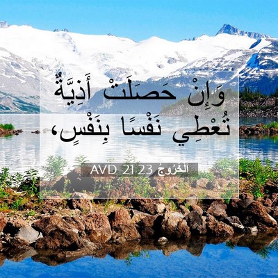 Picture 07 - اَلْخُرُوجُ 21:23 AVD - وَإِنْ حَصَلَتْ أَذِيَّةٌ - Bible Verse Picture