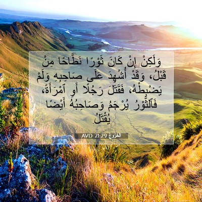 Picture 07 - اَلْخُرُوجُ 21:29 AVD - وَلَكِنْ إِنْ كَانَ - Bible Verse Picture