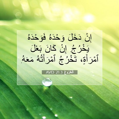 Picture 07 - اَلْخُرُوجُ 21:3 AVD - إِنْ دَخَلَ وَحْدَهُ - Bible Verse Picture