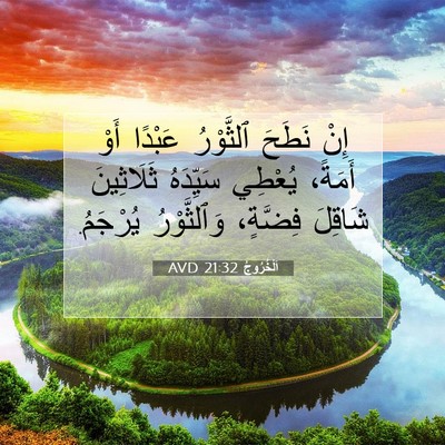 Picture 07 - اَلْخُرُوجُ 21:32 AVD - إِنْ نَطَحَ ٱلثَّوْرُ - Bible Verse Picture