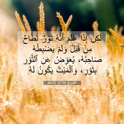 Picture 07 - اَلْخُرُوجُ 21:36 AVD - لَكِنْ إِذَا عُلِمَ - Bible Verse Picture