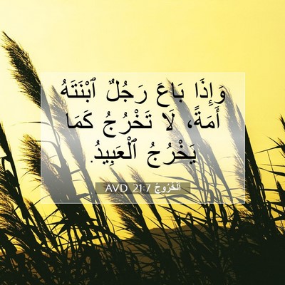 Picture 07 - اَلْخُرُوجُ 21:7 AVD - وَإِذَا بَاعَ رَجُلٌ - Bible Verse Picture