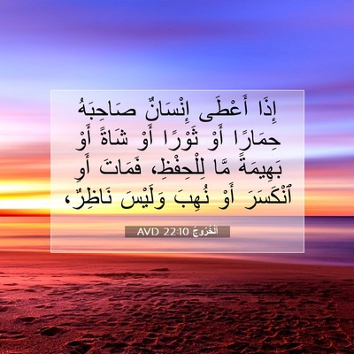 Picture 07 - اَلْخُرُوجُ 22:10 AVD - إِذَا أَعْطَى إِنْسَانٌ - Bible Verse Picture