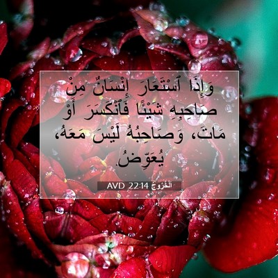 Picture 07 - اَلْخُرُوجُ 22:14 AVD - وَإِذَا ٱسْتَعَارَ - Bible Verse Picture