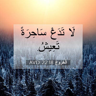 Picture 07 - اَلْخُرُوجُ 22:18 AVD - لَا تَدَعْ سَاحِرَةً - Bible Verse Picture