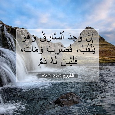Picture 07 - اَلْخُرُوجُ 22:2 AVD - إِنْ وُجِدَ ٱلسَّارِقُ - Bible Verse Picture