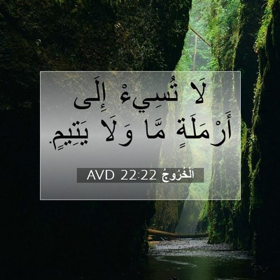 Picture 07 - اَلْخُرُوجُ 22:22 AVD - لَا تُسِيءْ إِلَى - Bible Verse Picture