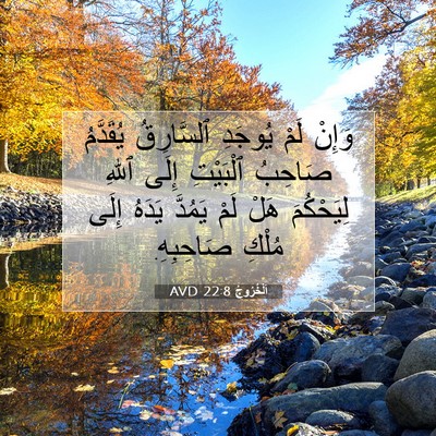 Picture 07 - اَلْخُرُوجُ 22:8 AVD - وَإِنْ لَمْ يُوجَدِ - Bible Verse Picture