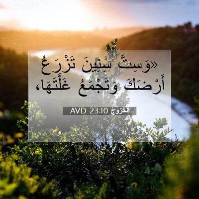 Picture 07 - اَلْخُرُوجُ 23:10 AVD - «وَسِتَّ سِنِينَ تَزْرَعُ - Bible Verse Picture