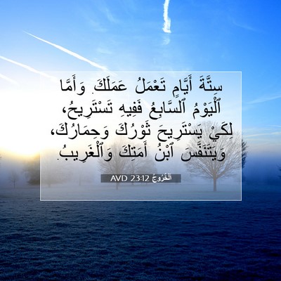 Picture 07 - اَلْخُرُوجُ 23:12 AVD - سِتَّةَ أَيَّامٍ تَعْمَلُ - Bible Verse Picture