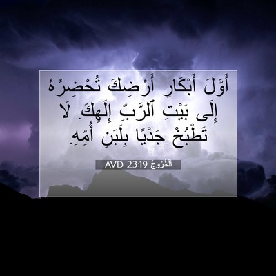 Picture 07 - اَلْخُرُوجُ 23:19 AVD - أَوَّلَ أَبْكَارِ - Bible Verse Picture