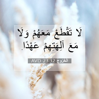 Picture 07 - اَلْخُرُوجُ 23:32 AVD - لَا تَقْطَعْ مَعَهُمْ - Bible Verse Picture