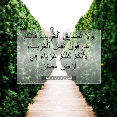 Picture 07 - اَلْخُرُوجُ 23:9 AVD - وَلَا تُضَايِقِ - Bible Verse Picture