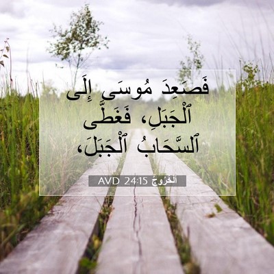 Picture 07 - اَلْخُرُوجُ 24:15 AVD - فَصَعِدَ مُوسَى إِلَى - Bible Verse Picture