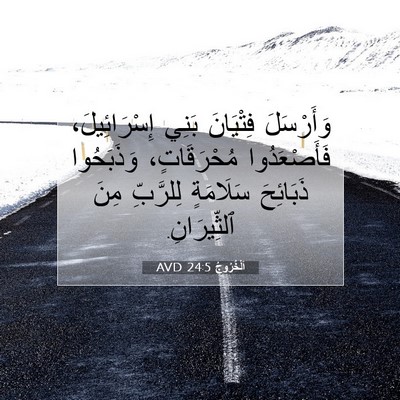 Picture 07 - اَلْخُرُوجُ 24:5 AVD - وَأَرْسَلَ فِتْيَانَ - Bible Verse Picture