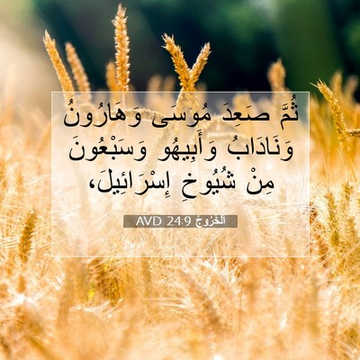 Picture 07 - اَلْخُرُوجُ 24:9 AVD - ثُمَّ صَعِدَ مُوسَى - Bible Verse Picture