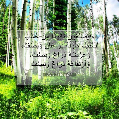 Picture 07 - اَلْخُرُوجُ 25:10 AVD - «فَيَصْنَعُونَ تَابُوتًا - Bible Verse Picture