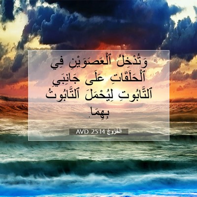 Picture 07 - اَلْخُرُوجُ 25:14 AVD - وَتُدْخِلُ ٱلْعَصَوَيْنِ - Bible Verse Picture