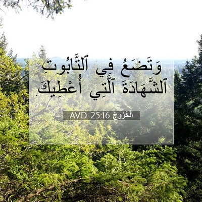 Picture 07 - اَلْخُرُوجُ 25:16 AVD - وَتَضَعُ فِي ٱلتَّابُوتِ - Bible Verse Picture